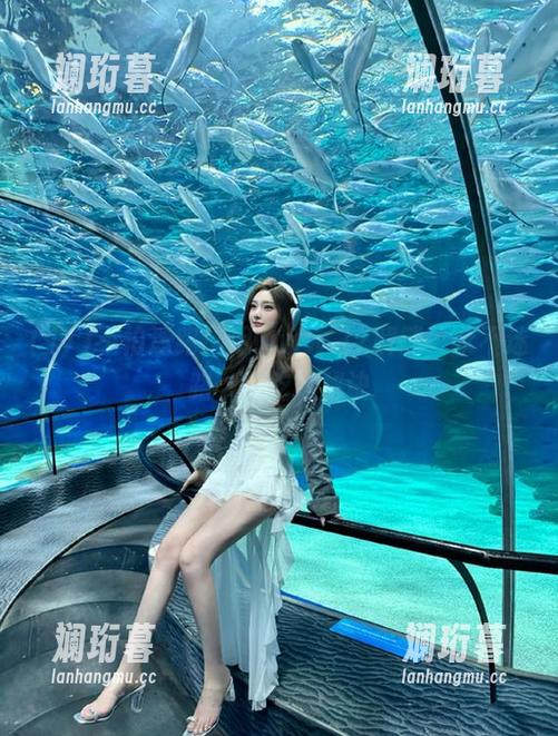不怕迷路！用www.17解锁“永不迷路”的吃瓜秘诀