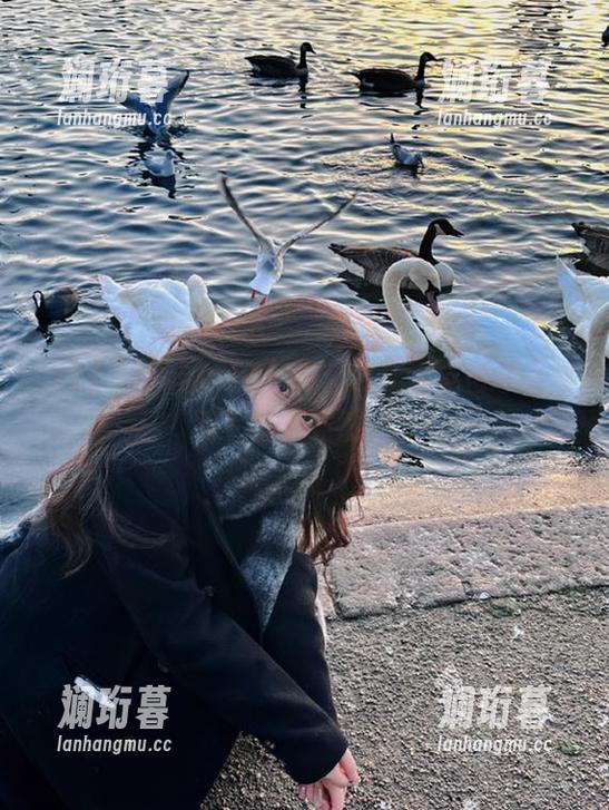 “www.17”为什么让人觉得永不迷路？答案竟然是...