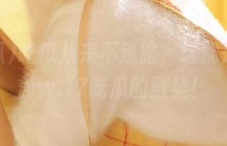 吃瓜从来不迷路，这就是我和www.17吃瓜的默契！