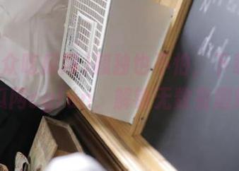 孤独也不怕，下载51群众吃瓜网cgfun，解锁无数有趣瞬间！
