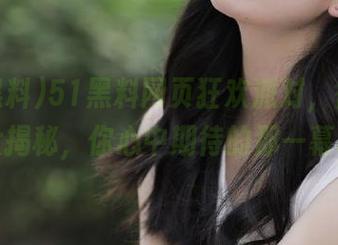 51黑料网页狂欢派对，往期回顾大揭秘，你心中期待的那一幕呢？