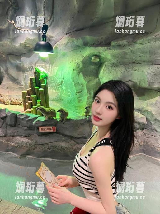 联动吧！799su的链接像个宝藏，瓜到手软！