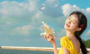 想要免费八卦轶事，91黑料网绝对是你不可错过的宝藏！