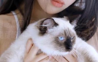 摊上这么多奇弹：有人推荐的免费吃瓜网，简直是让人又爱又恨！