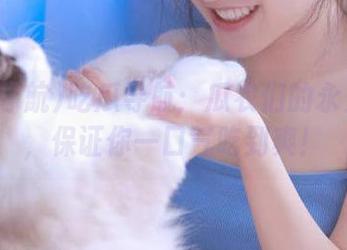 吃瓜导航：瓜农们的永久乐园，保证你一口气吃到爽！