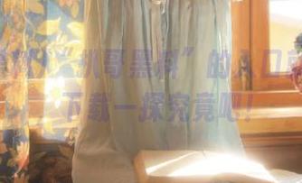 “扒哥黑料”的入口就在这里，下载一探究竟吧！