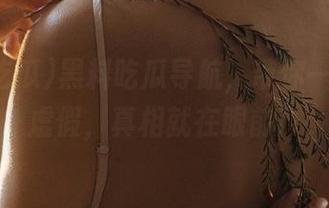 黑料吃瓜导航，带你一键戳穿虚假，真相就在眼前！