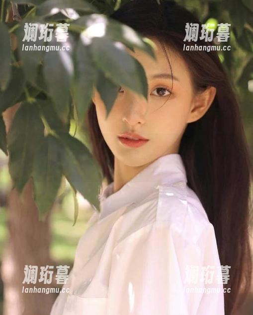 黑料网 我大概是个网址收集狂,黑料网分享的那些真让人百看不厌。